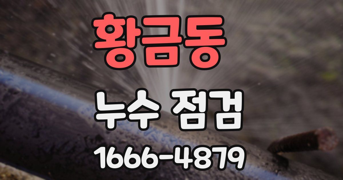 황금동 누수 점검