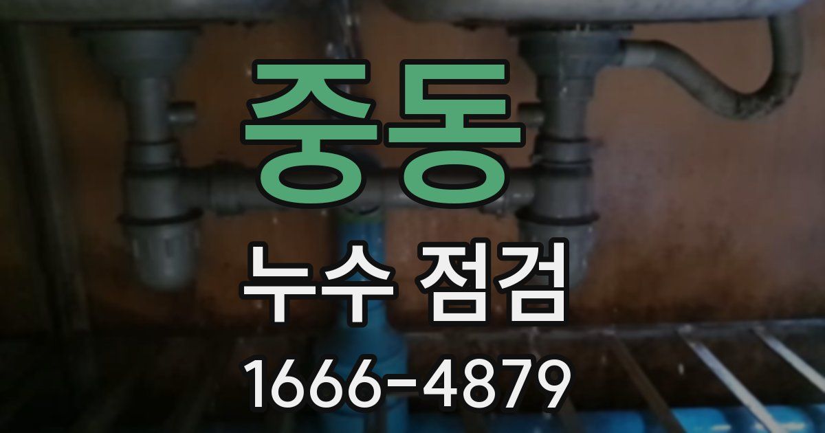 중동 누수 점검