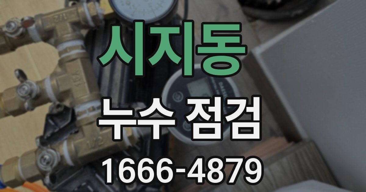 시지동 누수 점검