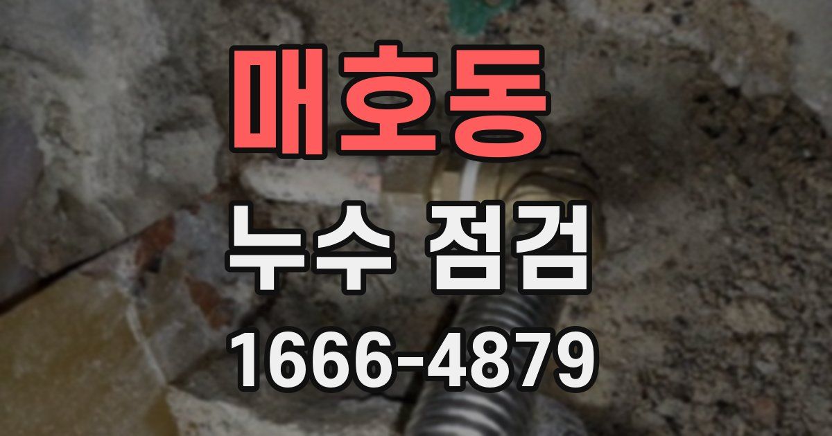 매호동 누수 점검