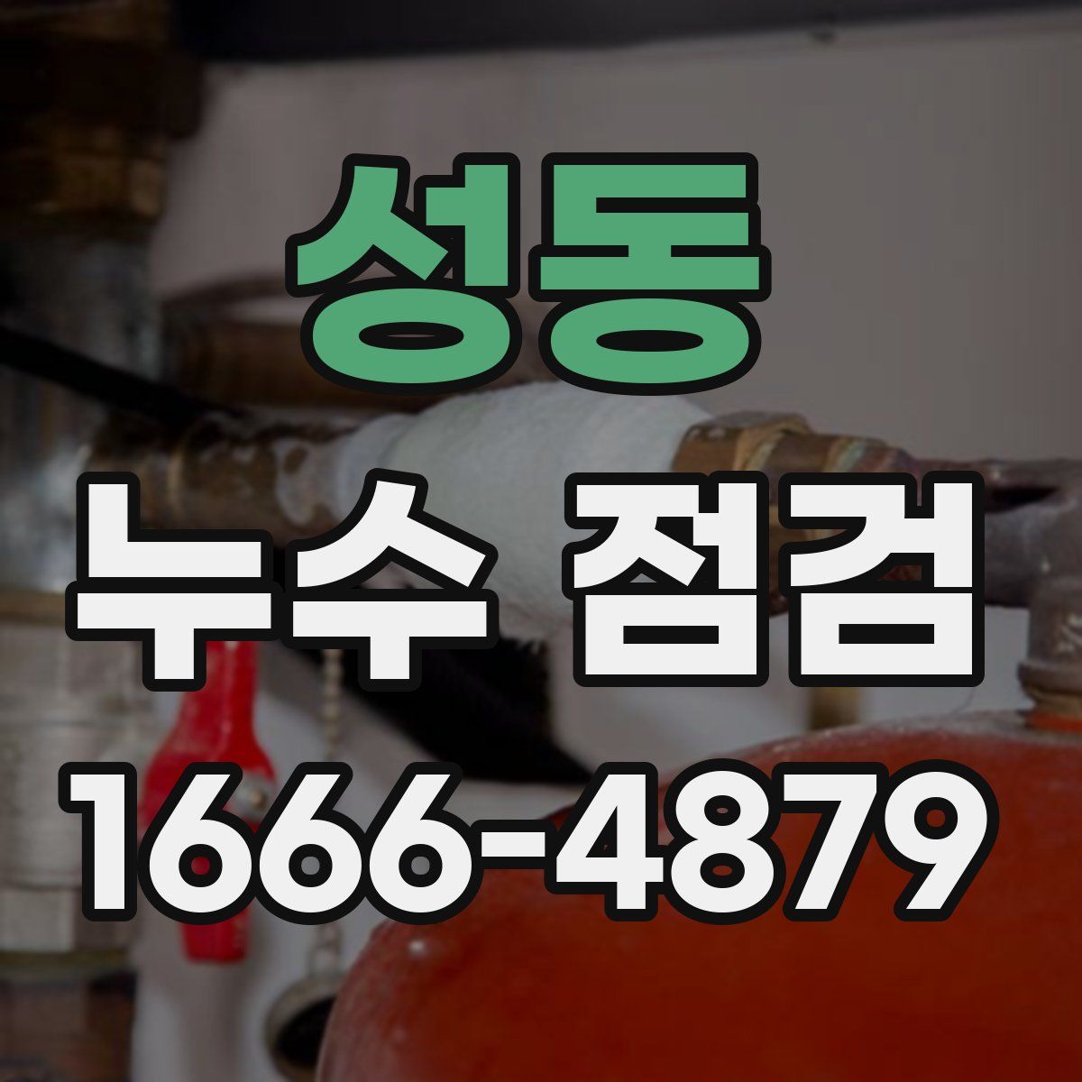 성동 누수 점검