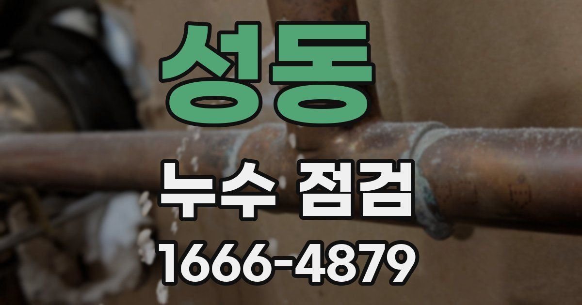 성동 누수 점검