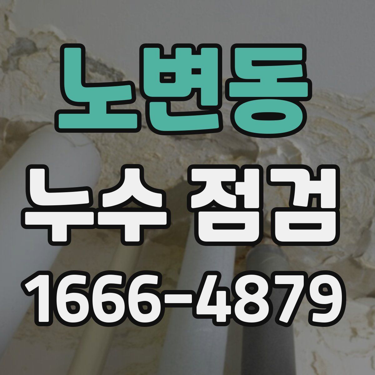 노변동 누수 점검