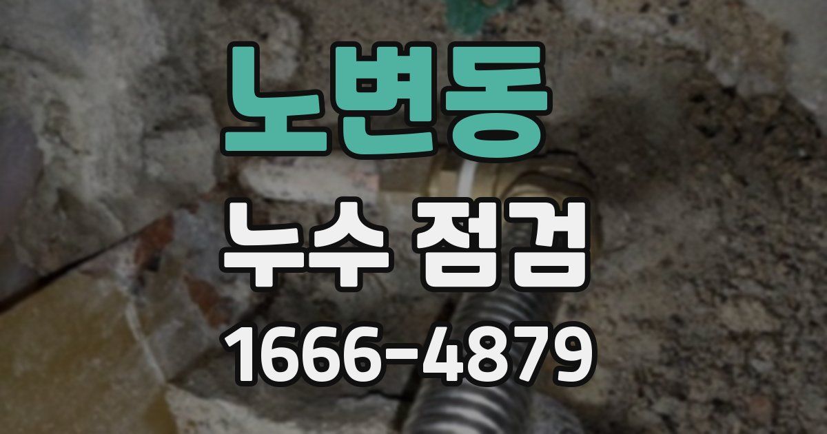노변동 누수 점검