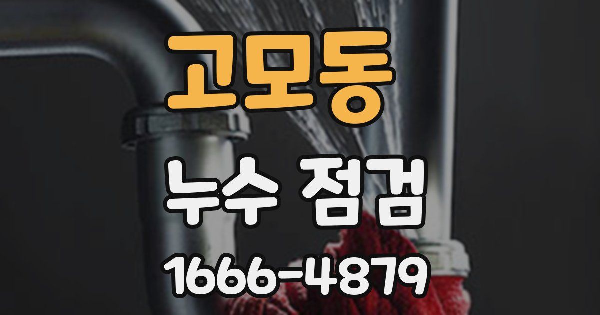 고모동 누수 점검