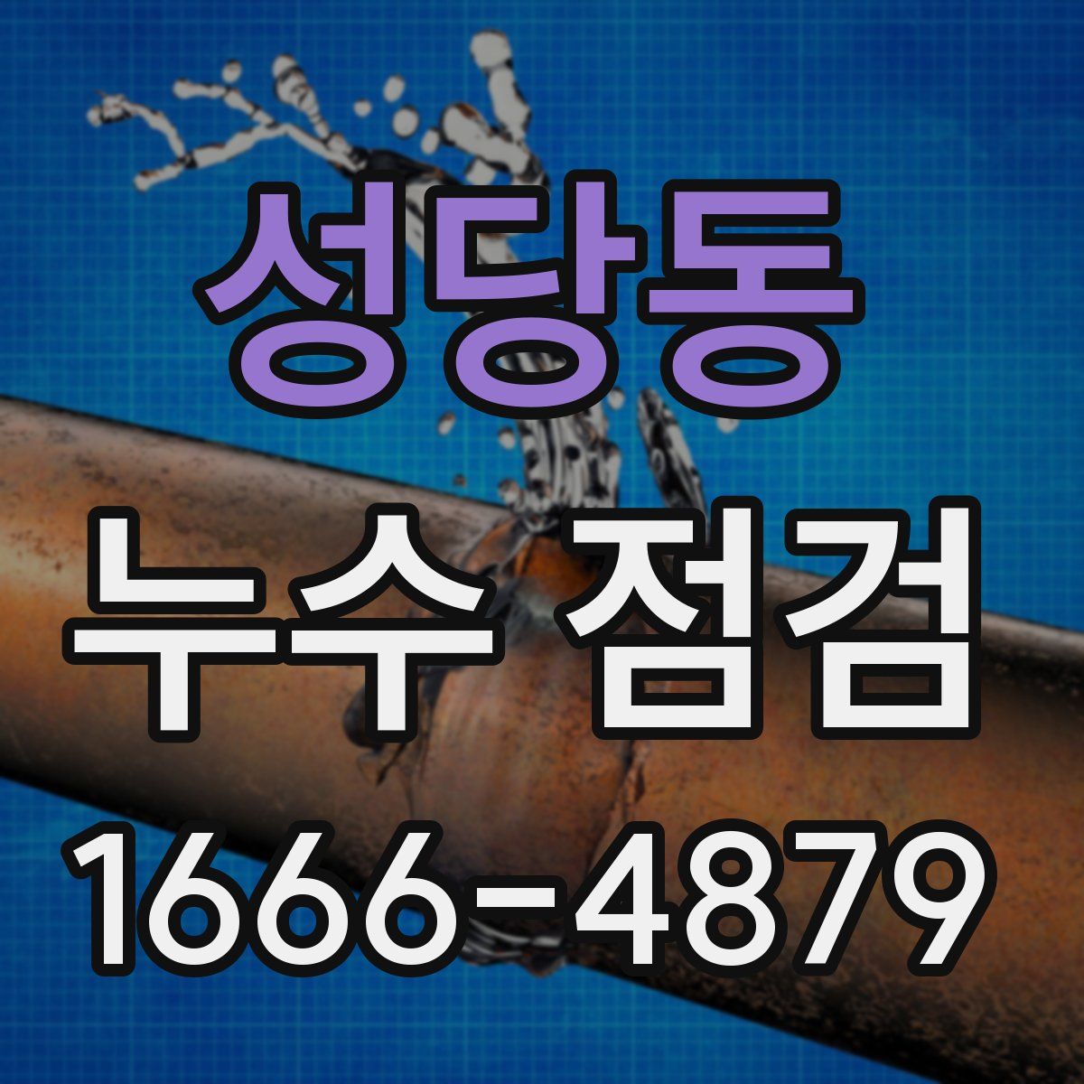 성당동 누수 점검