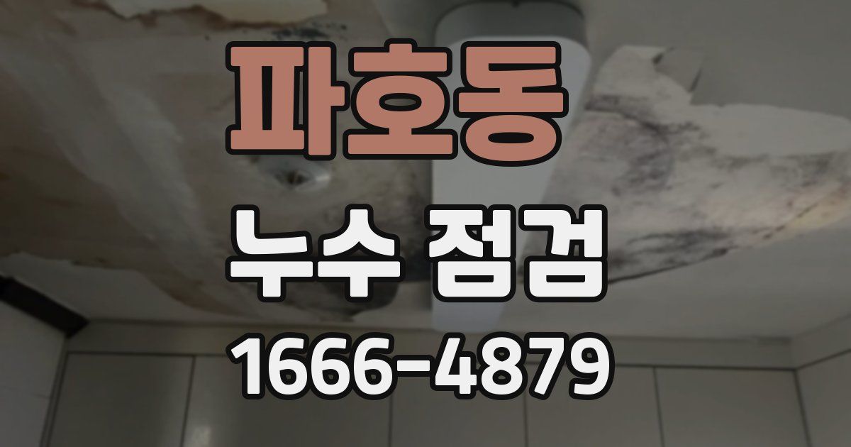 파호동 누수 점검
