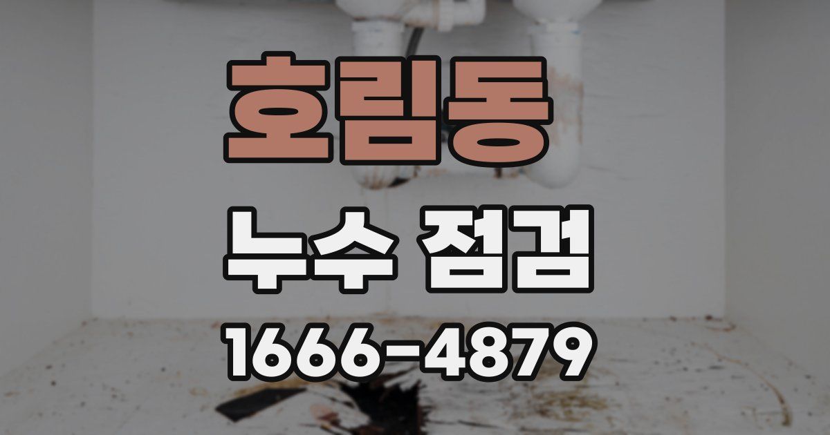 호림동 누수 점검
