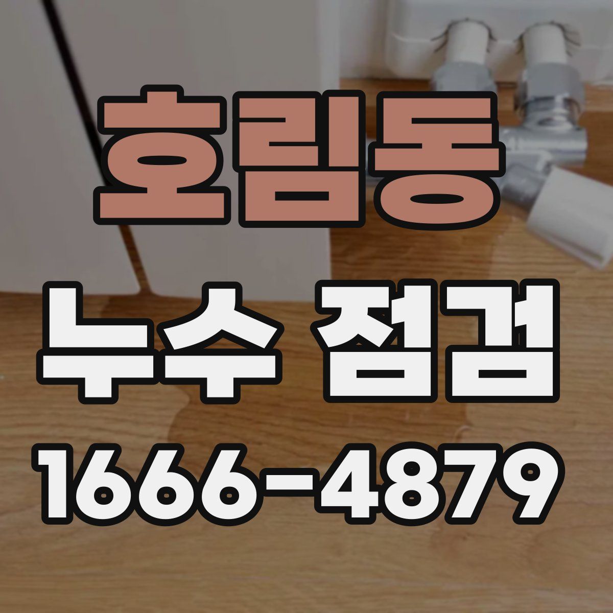 호림동 누수 점검