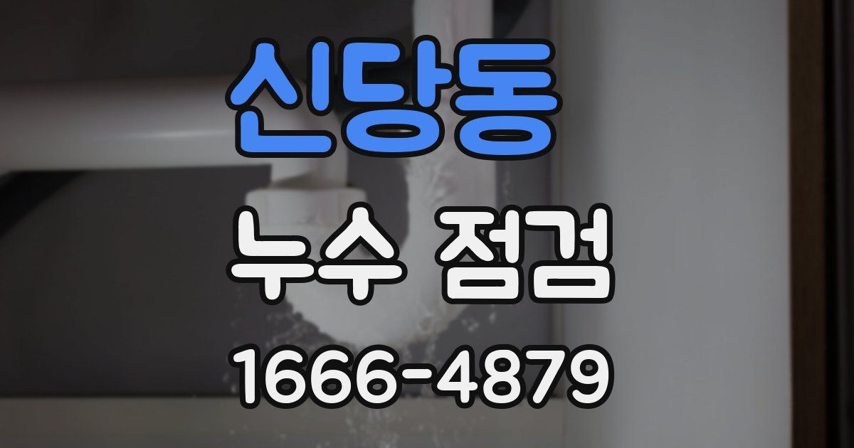 신당동 누수 점검