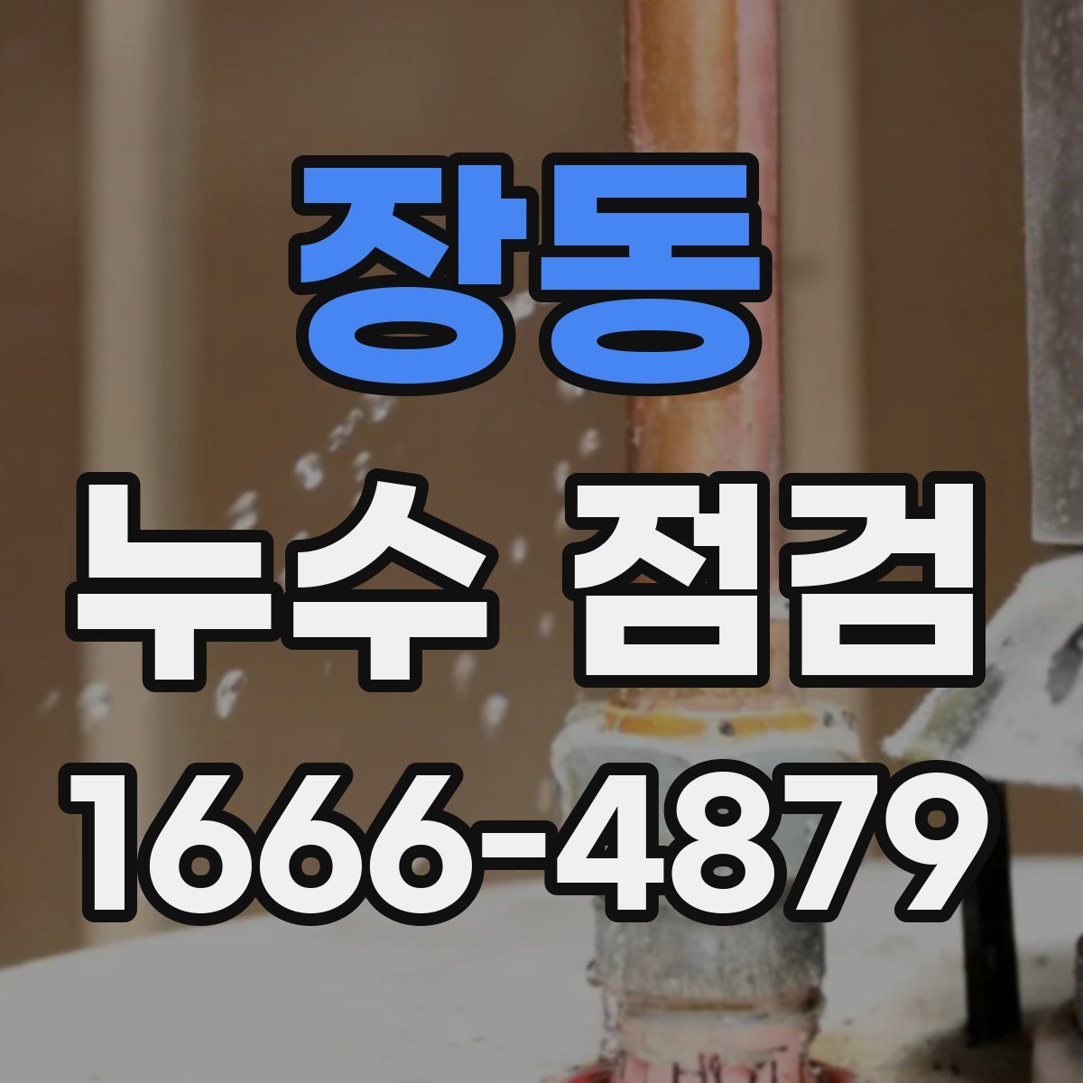 장동 누수 점검