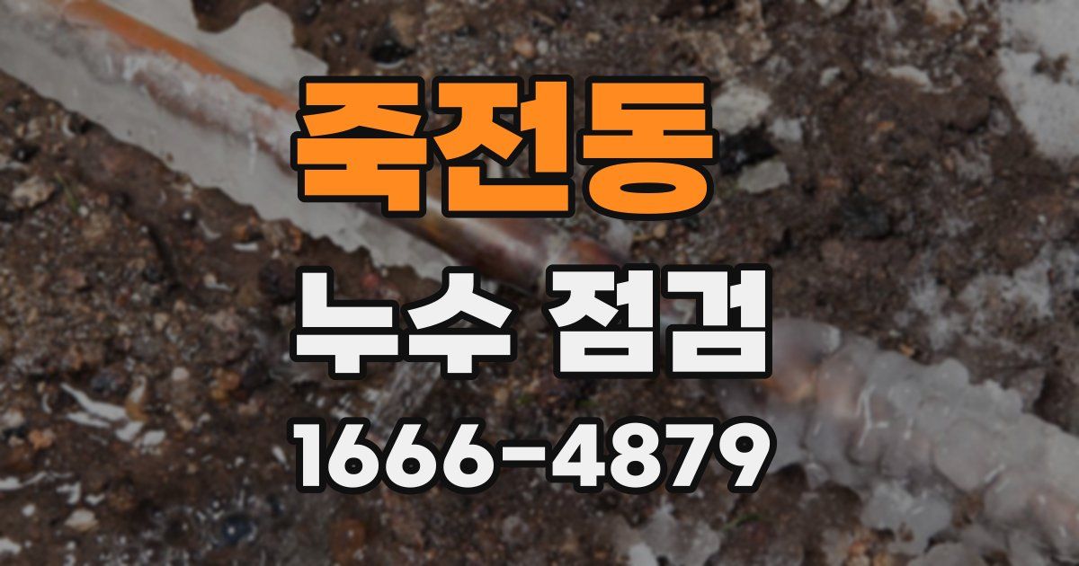 죽전동 누수 점검