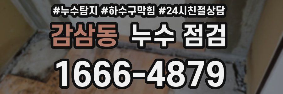 감삼동 누수 점검