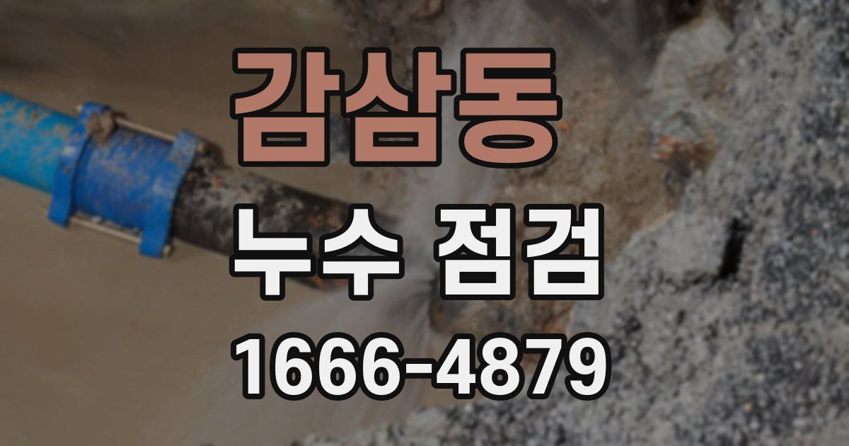 감삼동 누수 점검