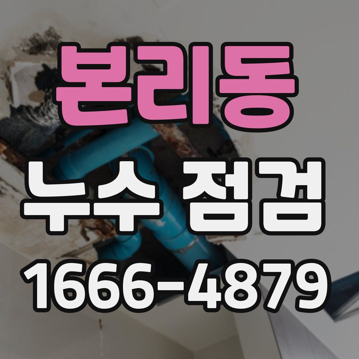 본리동 누수 점검