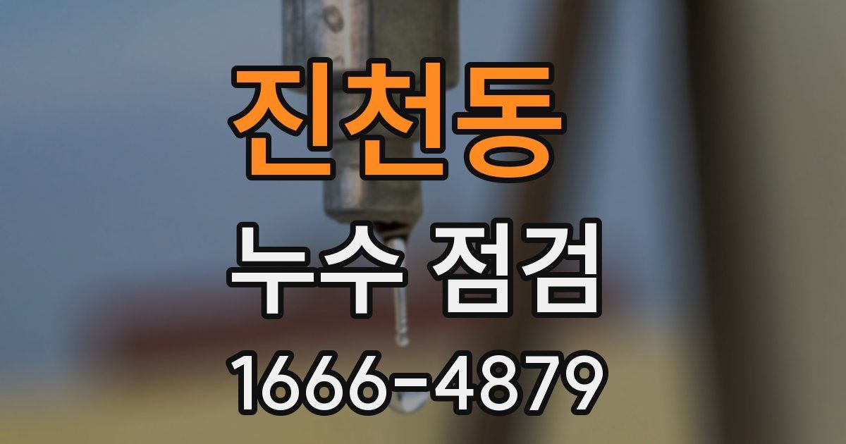 진천동 누수 점검