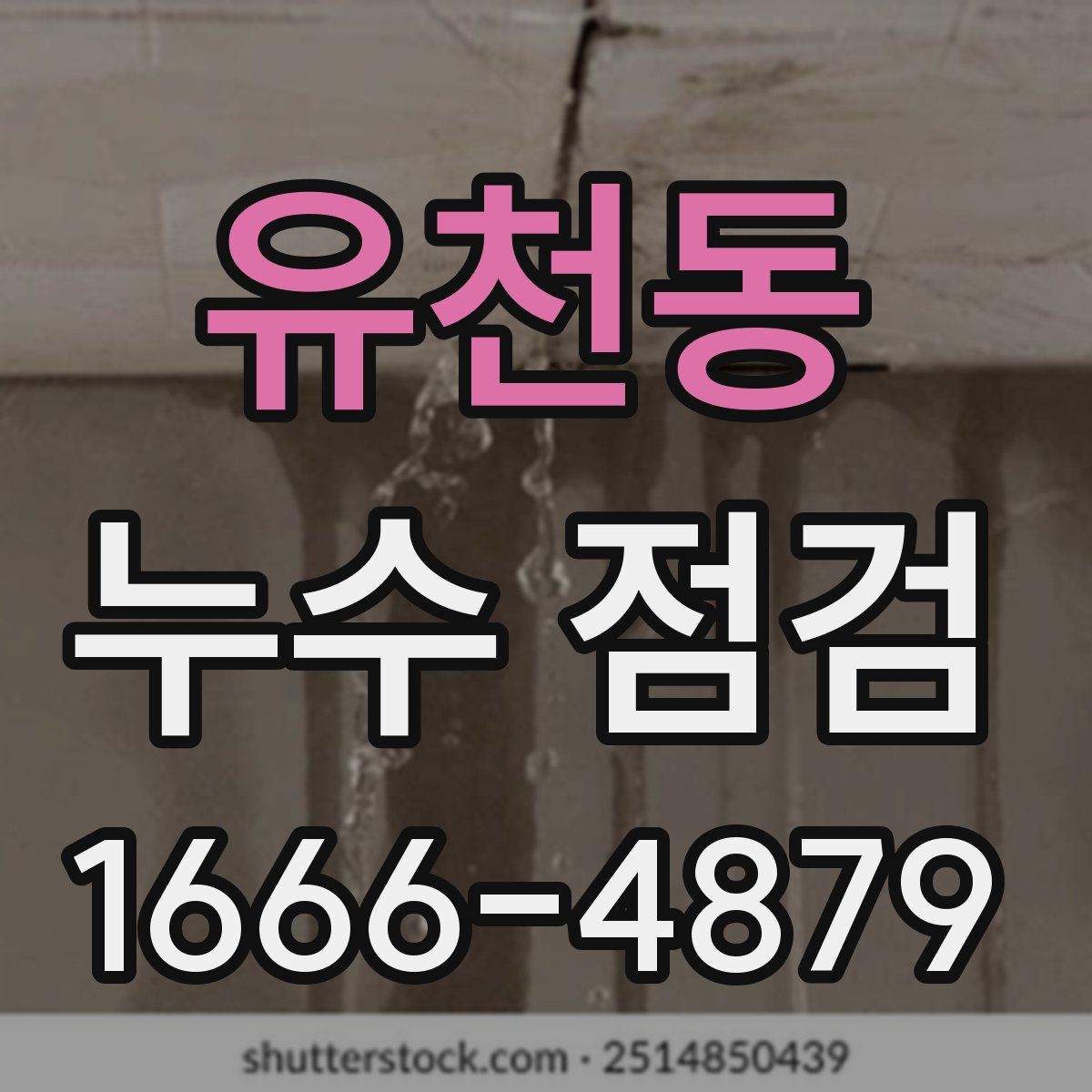유천동 누수 점검