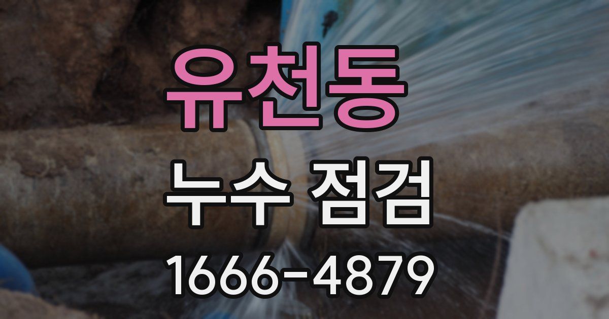 유천동 누수 점검