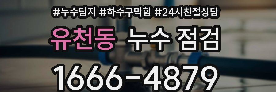 유천동 누수 점검