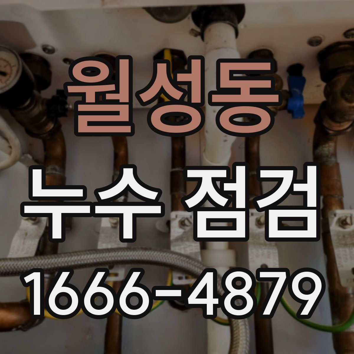 월성동 누수 점검
