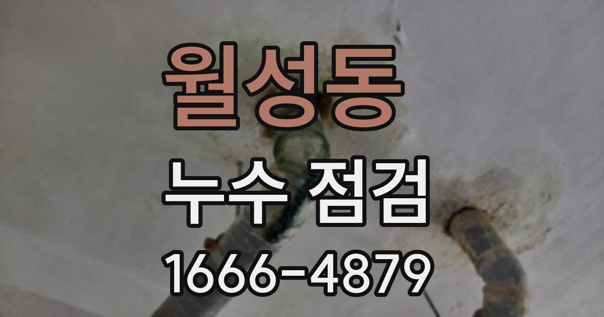 월성동 누수 점검