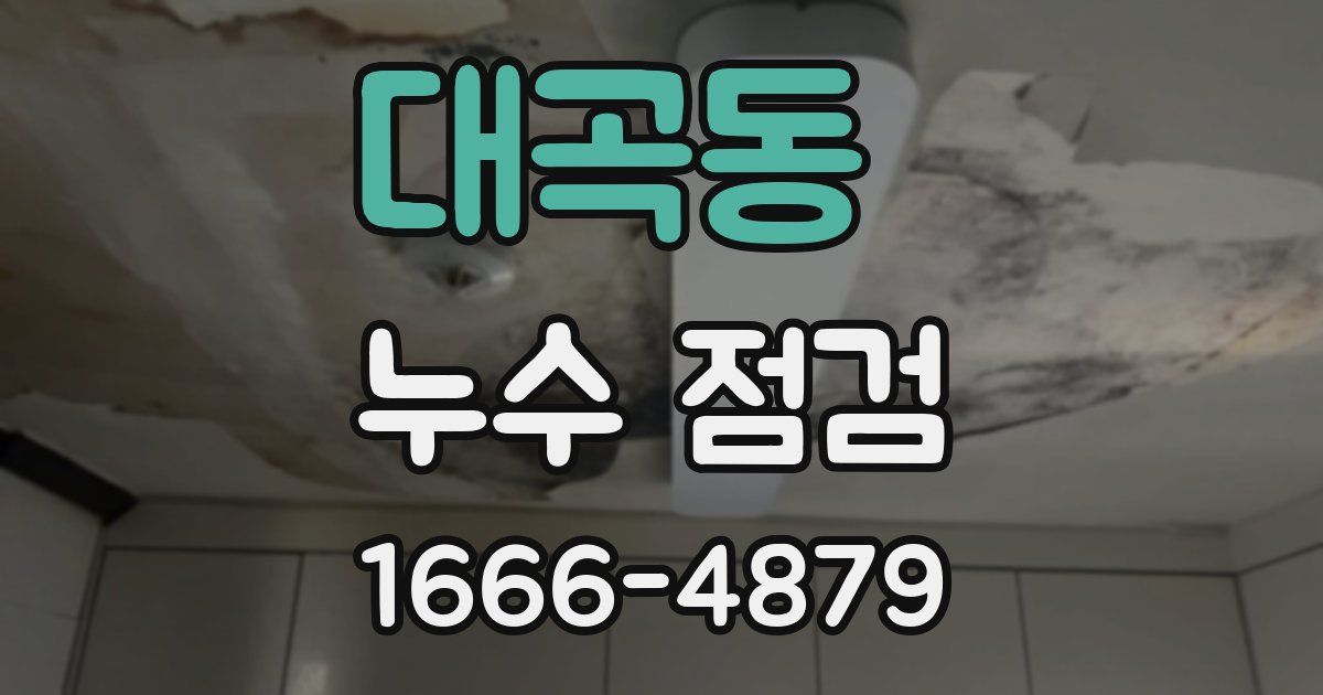 대곡동 누수 점검