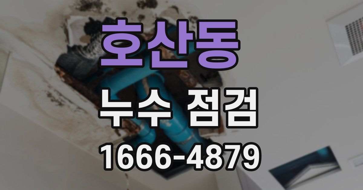 호산동 누수 점검
