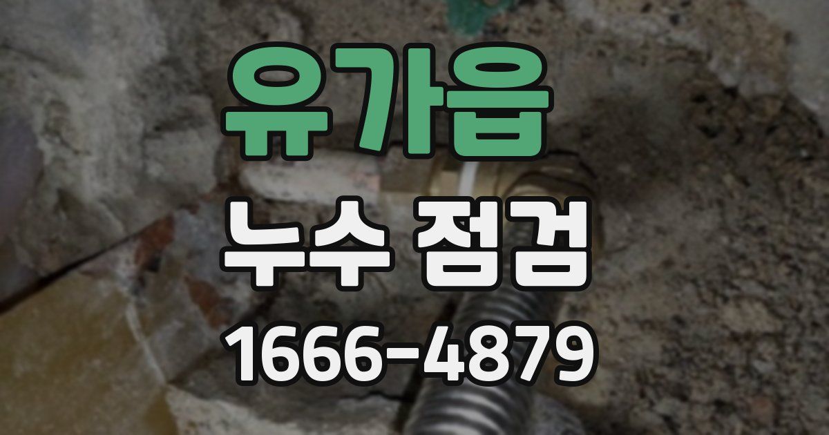 유가읍 누수 점검