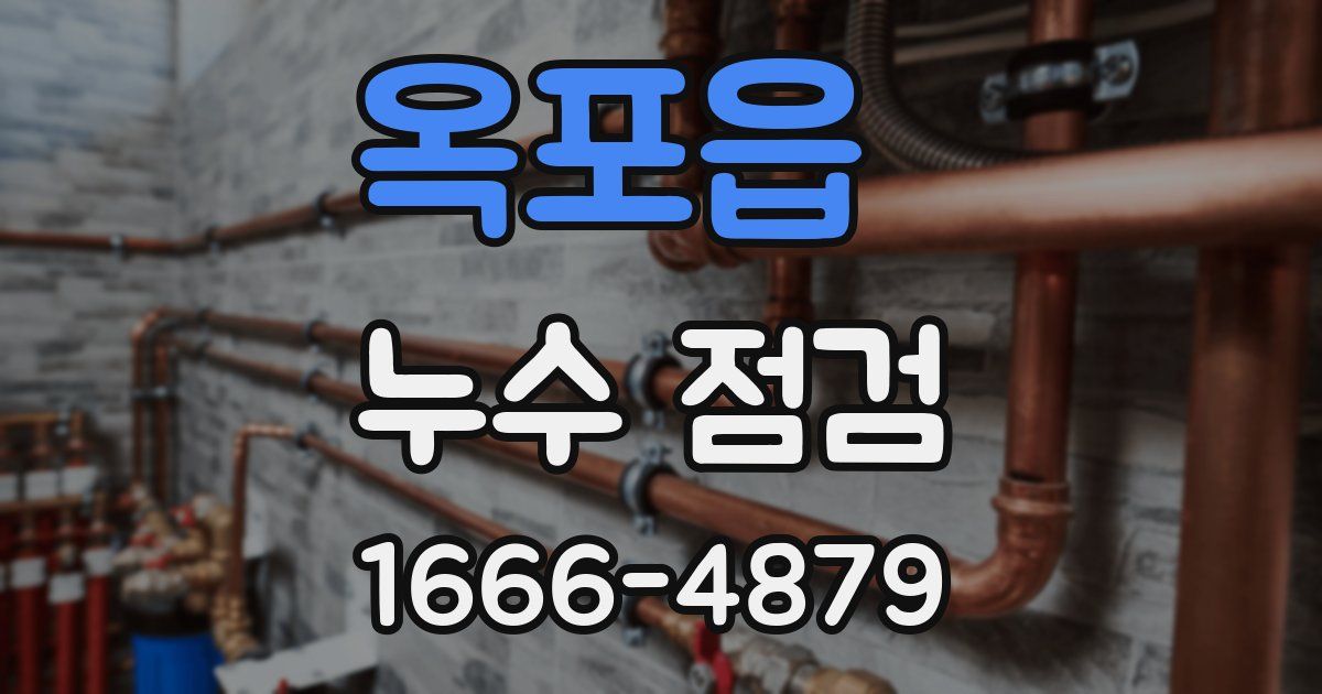 옥포읍 누수 점검