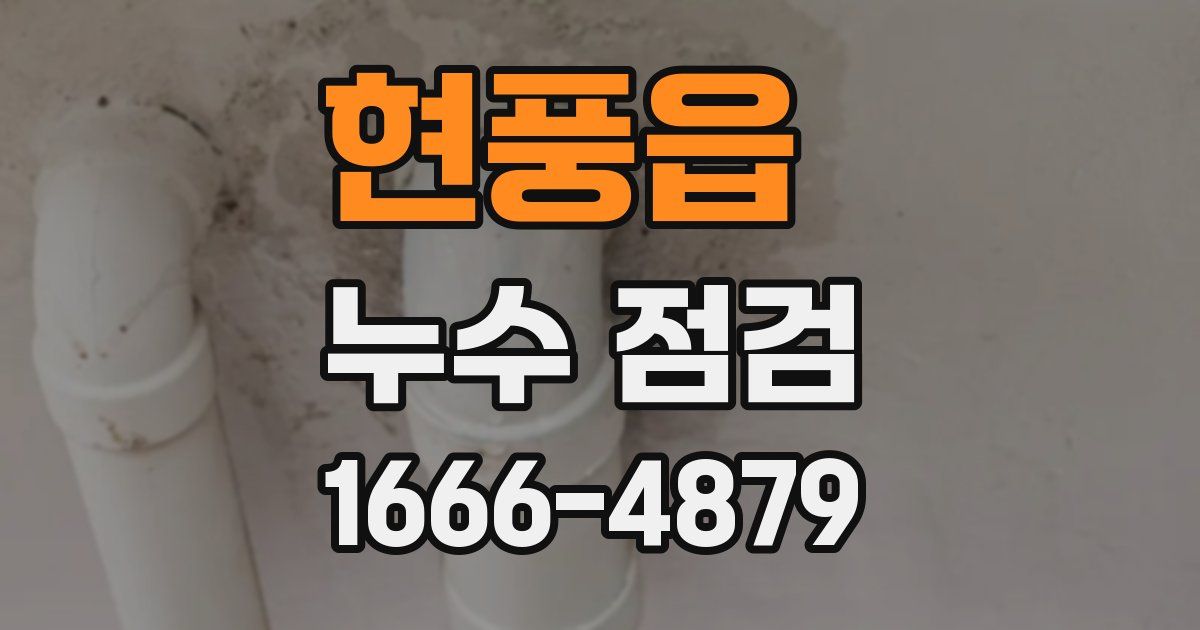 현풍읍 누수 점검