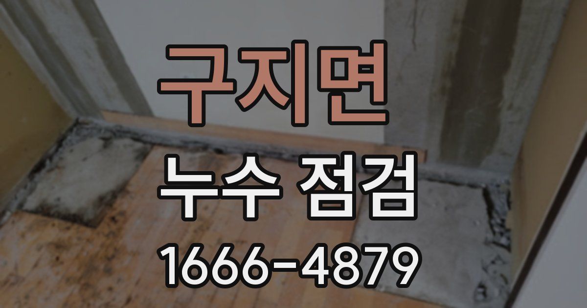 구지면 누수 점검