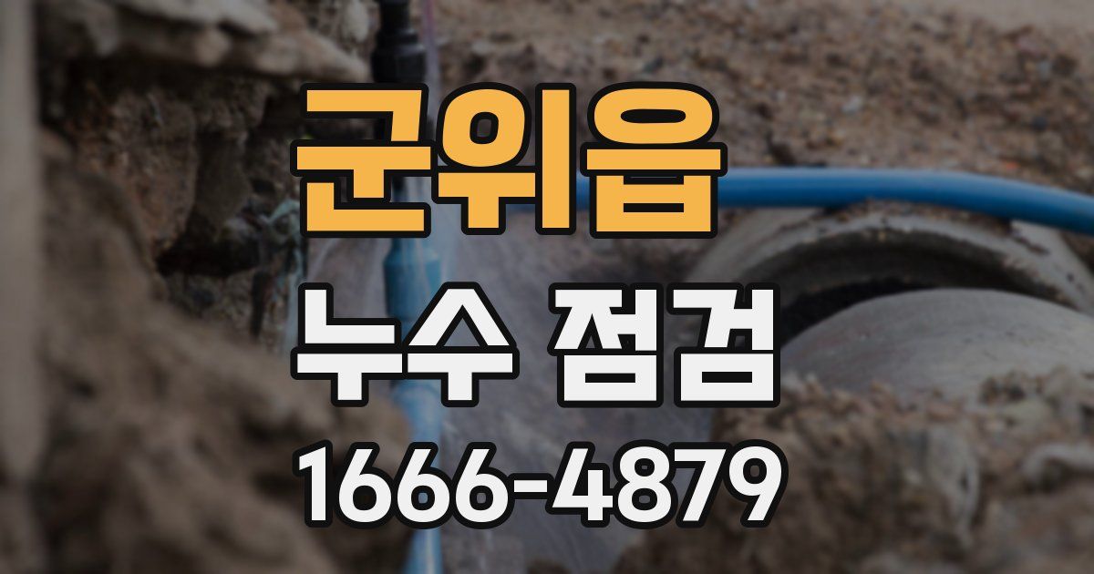 군위읍 누수 점검