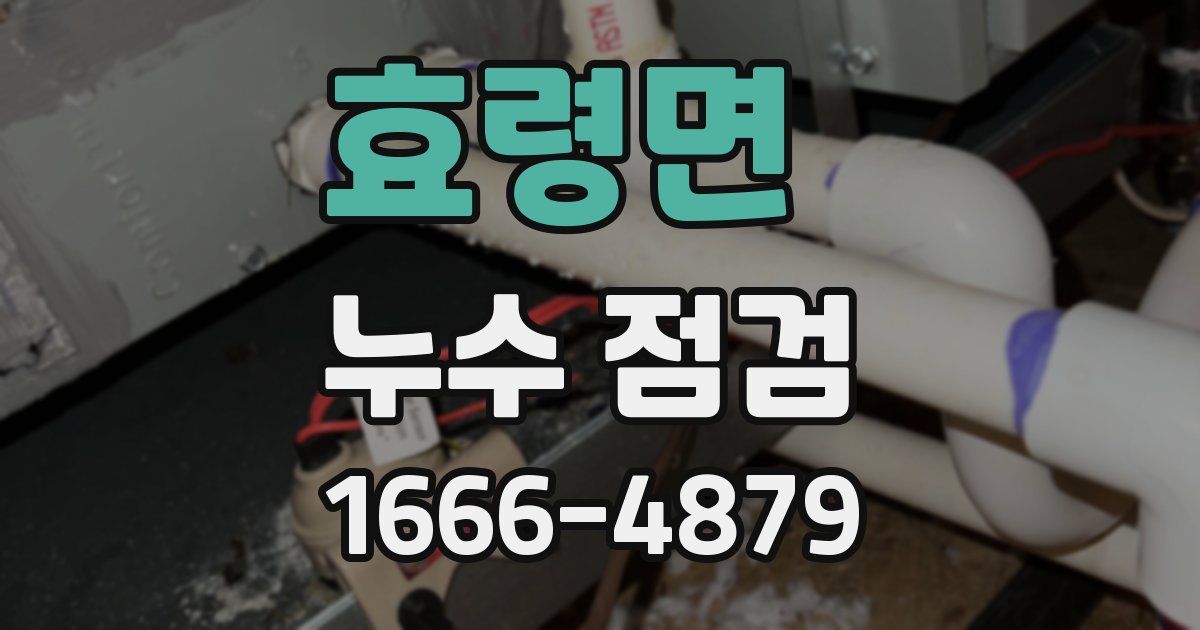 효령면 누수 점검