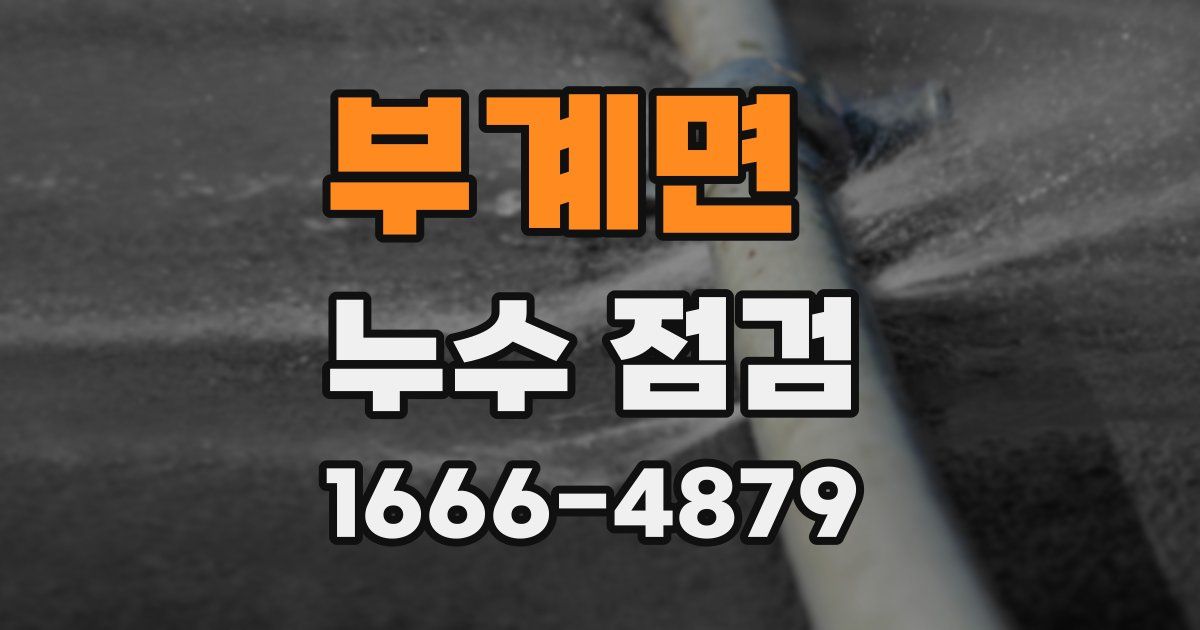 부계면 누수 점검