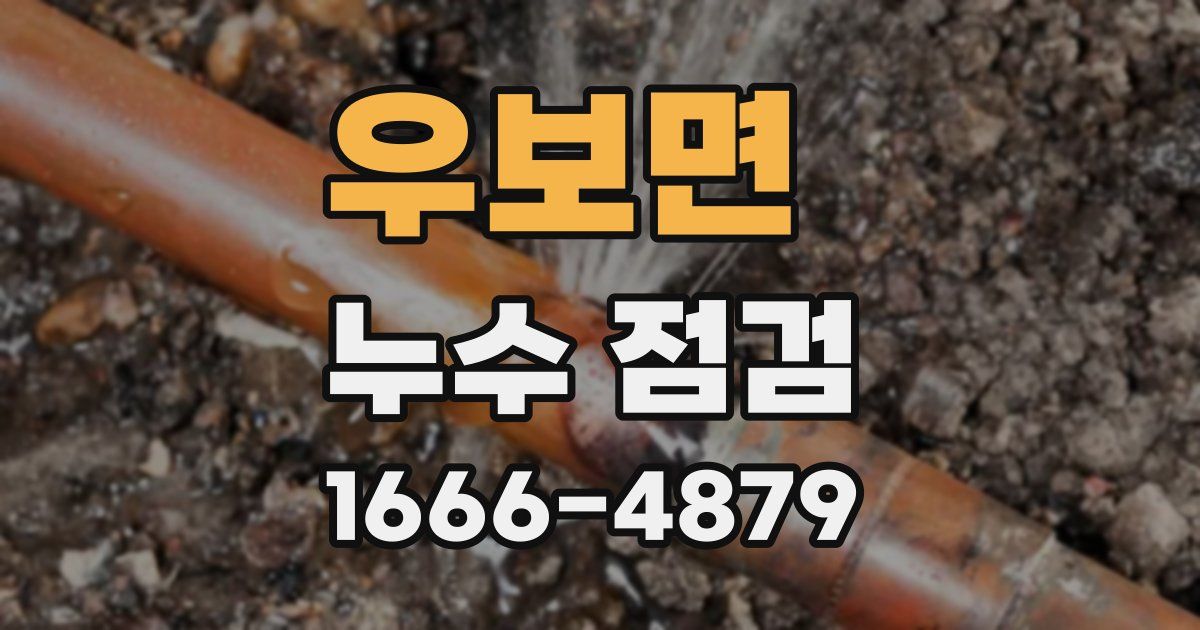 우보면 누수 점검