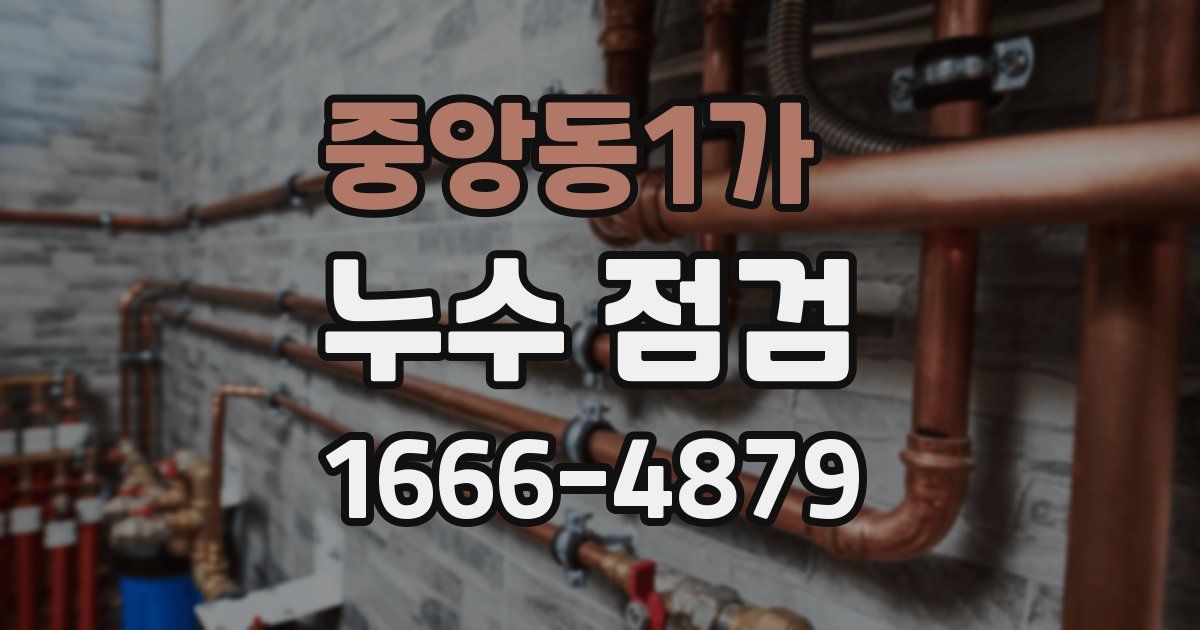 중앙동1가 누수 점검