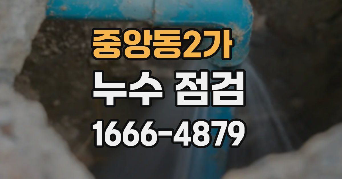 중앙동2가 누수 점검