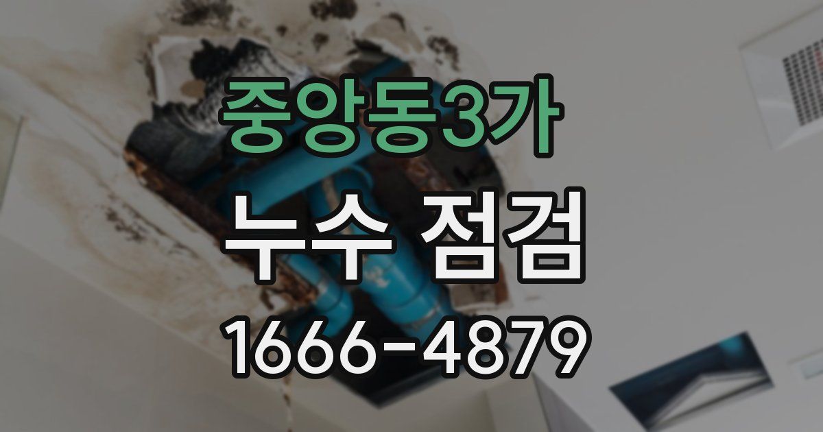 중앙동3가 누수 점검