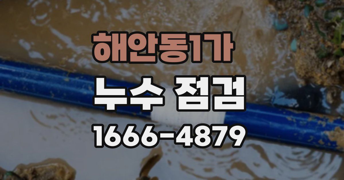 해안동1가 누수 점검
