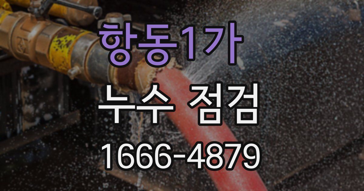 항동1가 누수 점검