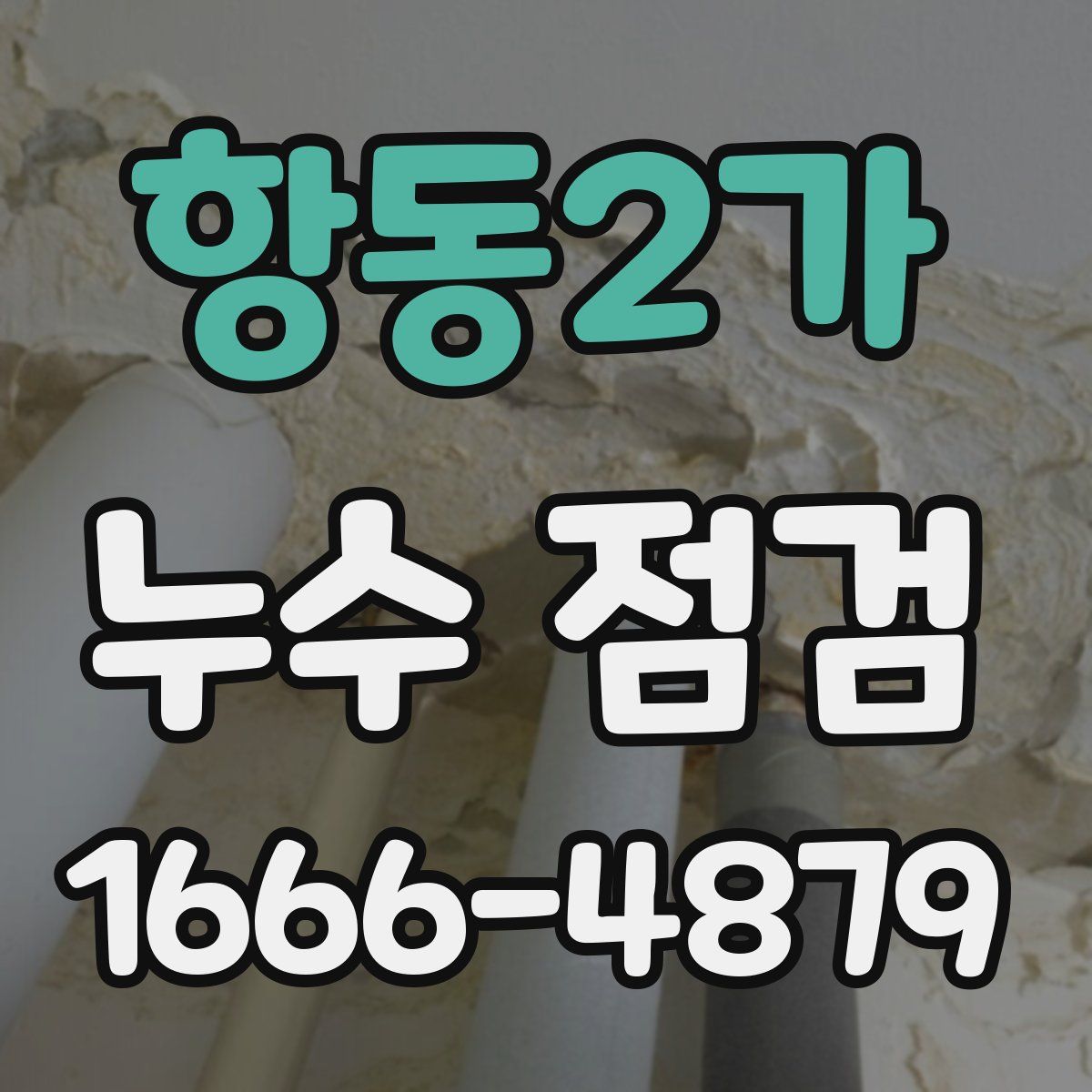 항동2가 누수 점검