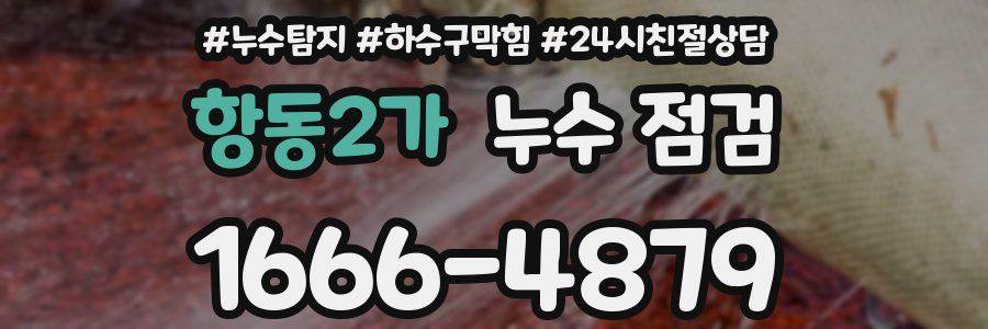 항동2가 누수 점검