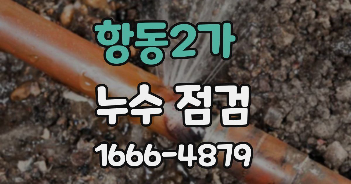 항동2가 누수 점검