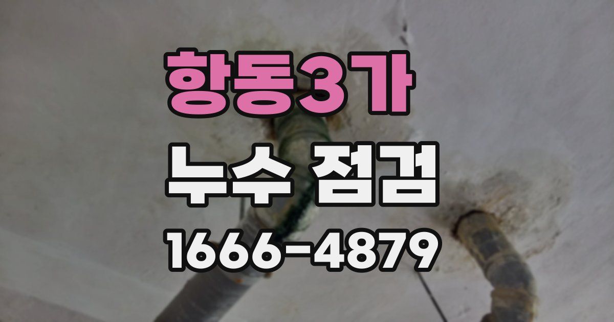 항동3가 누수 점검