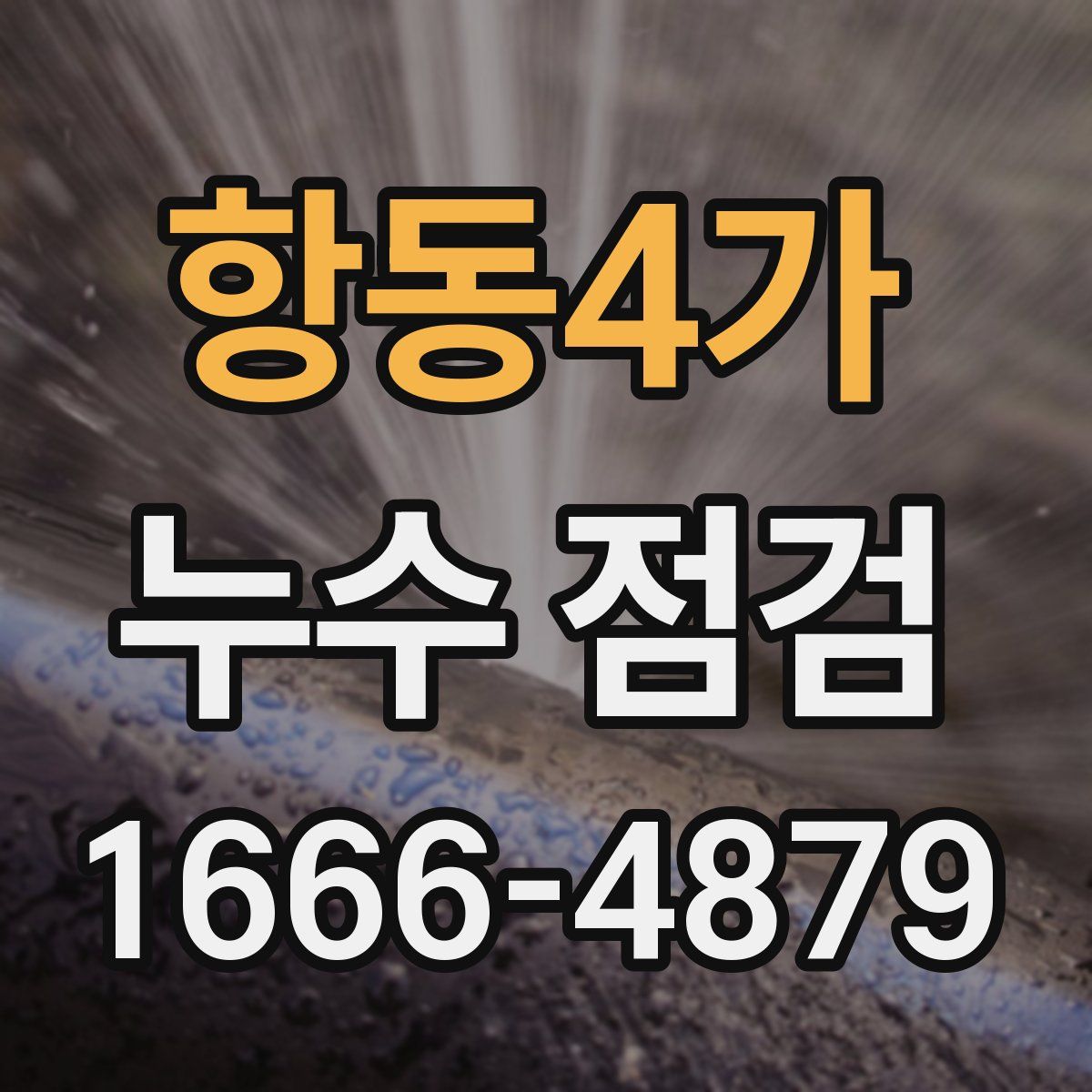항동4가 누수 점검