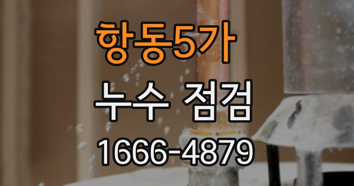 항동5가 누수 점검