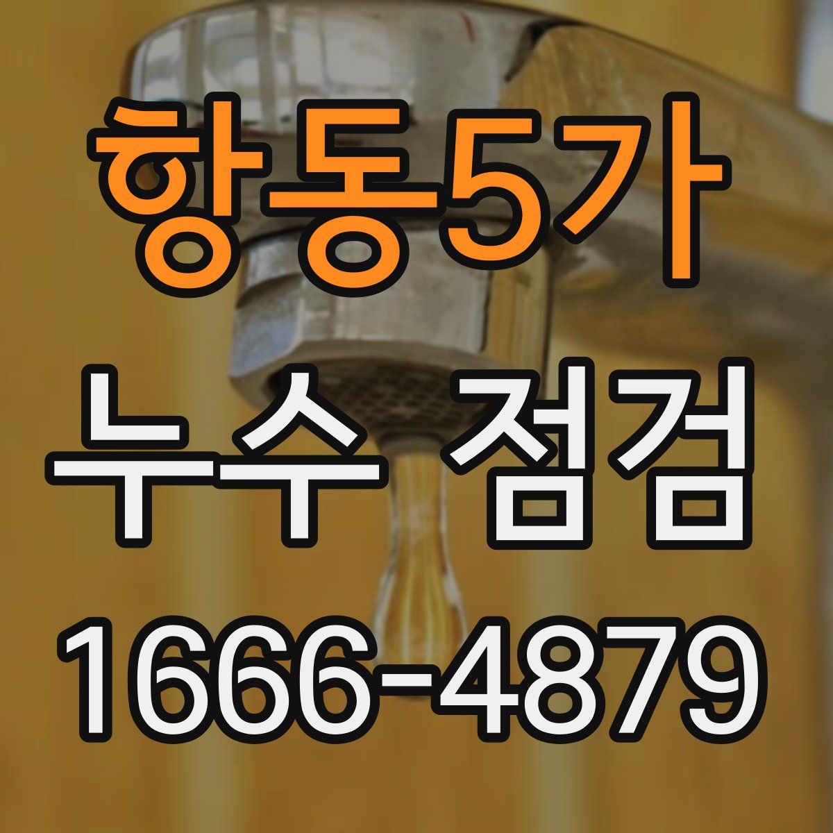 항동5가 누수 점검