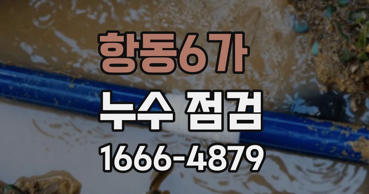 항동6가 누수 점검