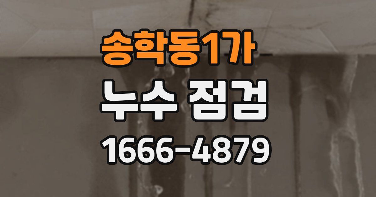송학동1가 누수 점검