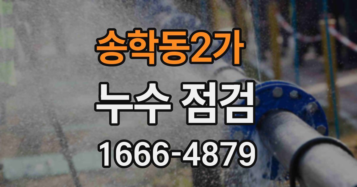 송학동2가 누수 점검